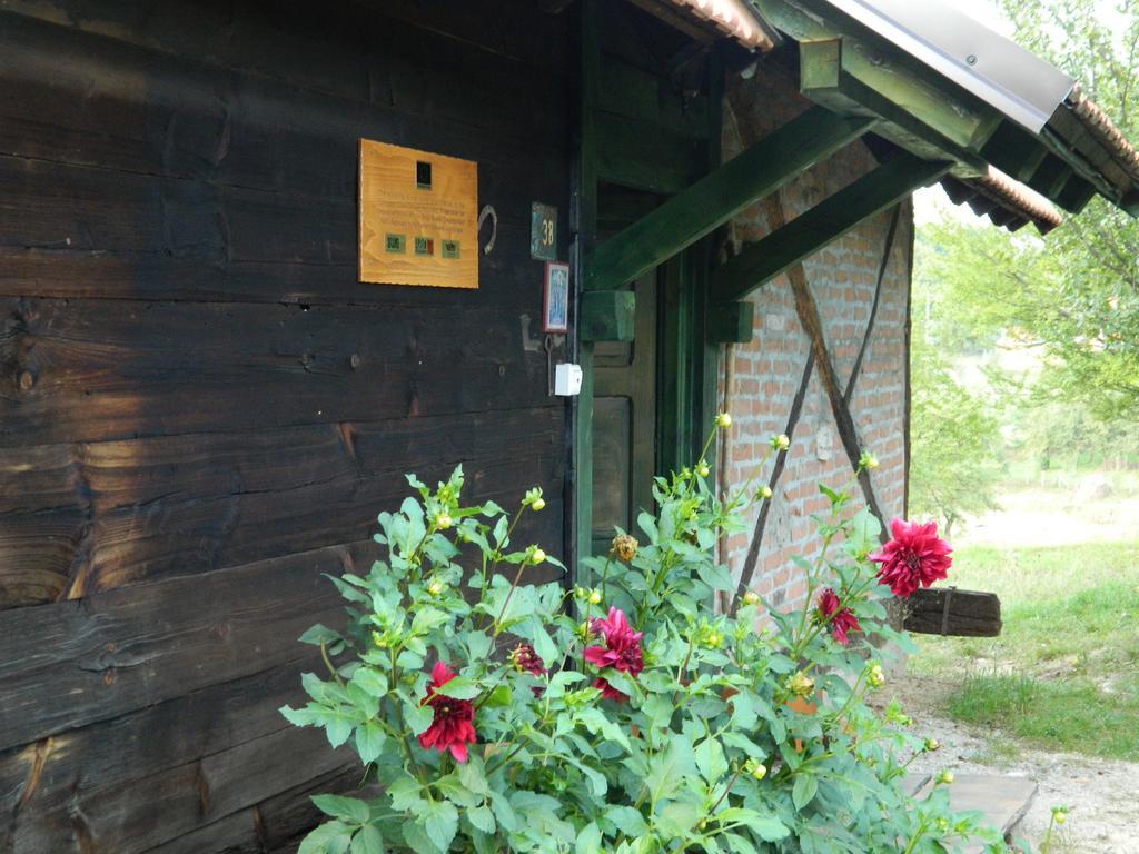 Chalet Belino Sokace Užice Exteriör bild