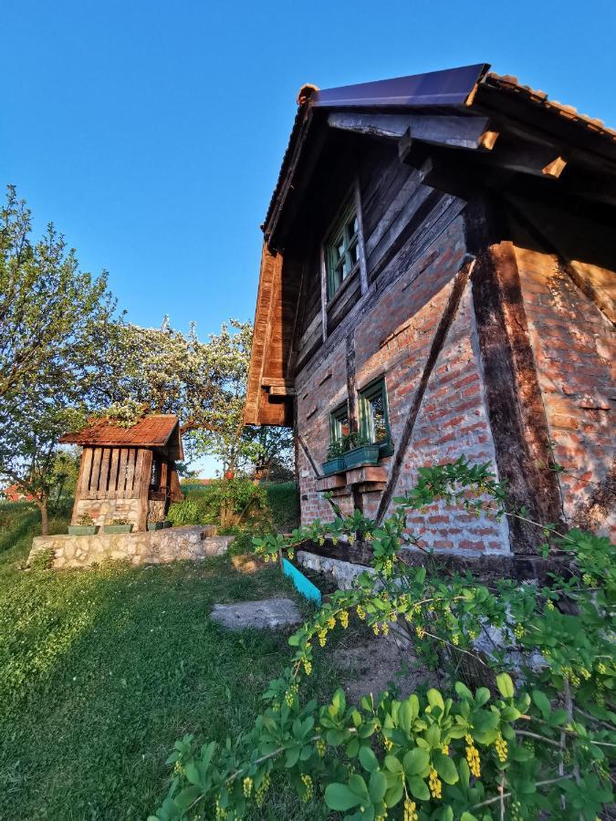 Chalet Belino Sokace Užice Exteriör bild
